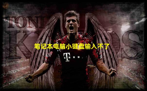 笔记本电脑小键盘输入不了