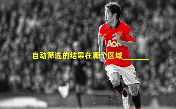 自动筛选的结果在哪个区域_______