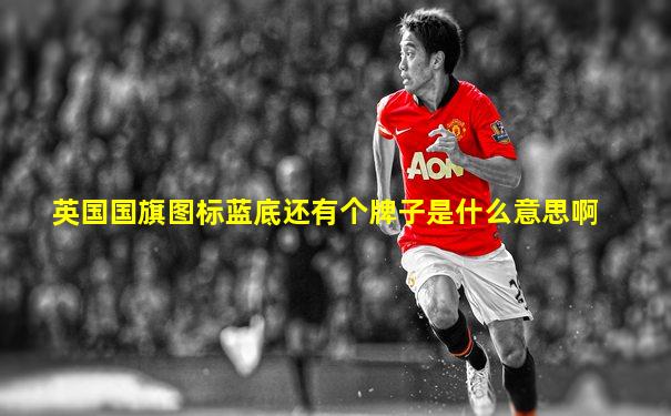 英国国旗图标蓝底还有个牌子是什么意思啊