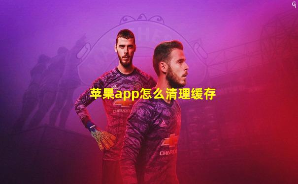 苹果app怎么清理缓存