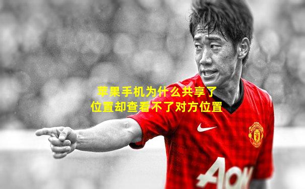 苹果手机为什么共享了位置却查看不了对方位置
