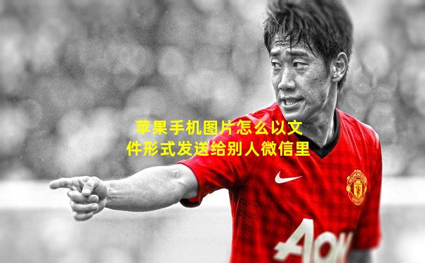 苹果手机图片怎么以文件形式发送给别人微信里