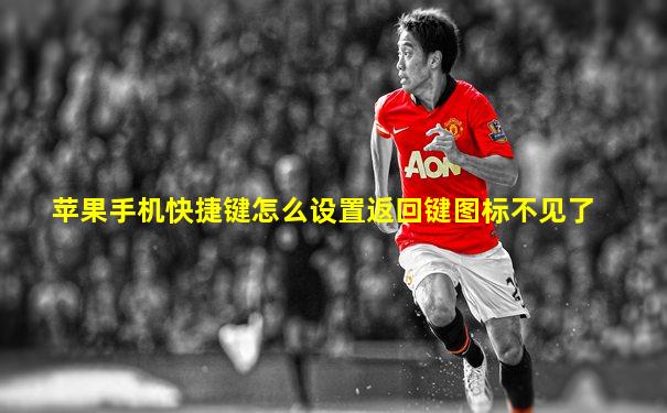 苹果手机快捷键怎么设置返回键图标不见了