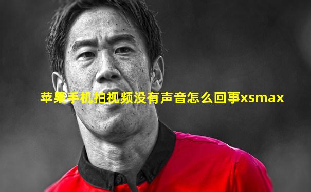 苹果手机拍视频没有声音怎么回事xsmax