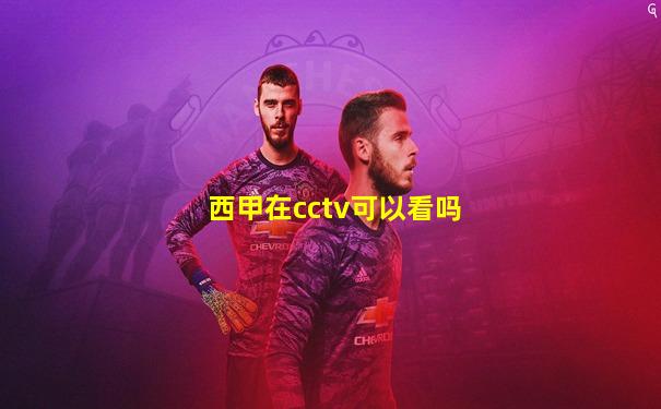 西甲在cctv可以看吗