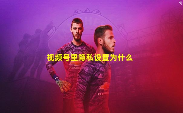 视频号里隐私设置为什么