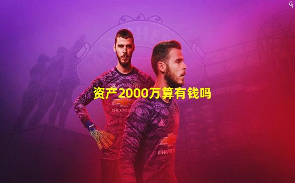 资产2000万算有钱吗