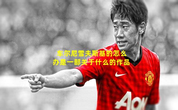 车尔尼雪夫斯基的怎么办是一部关于什么的作品