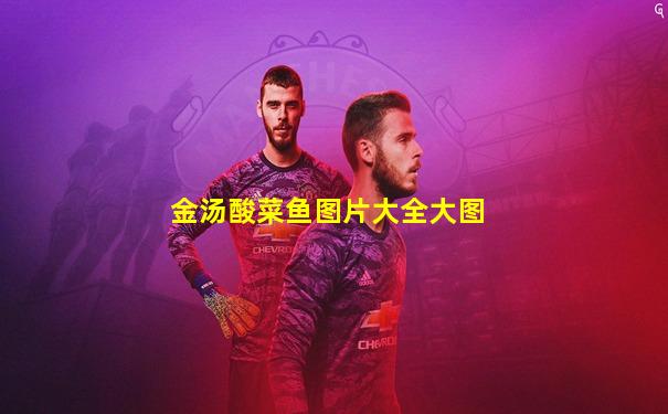 金汤酸菜鱼图片大全大图