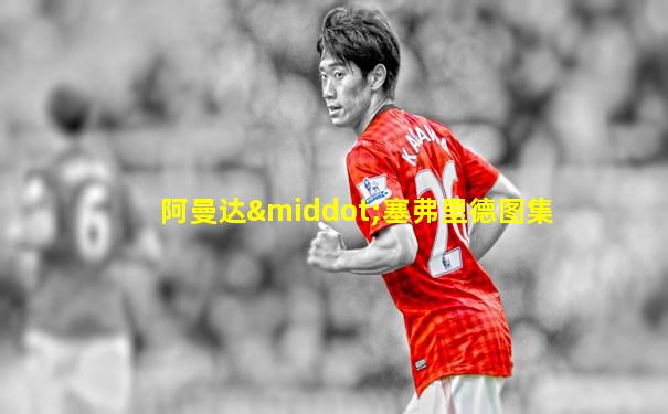 阿曼达·塞弗里德图集