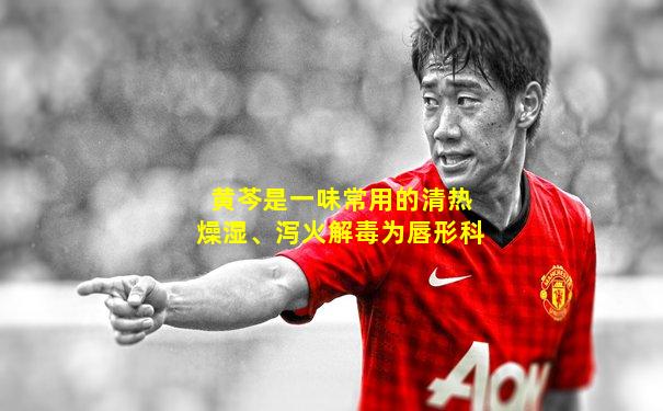 黄芩是一味常用的清热燥湿、泻火解毒为唇形科