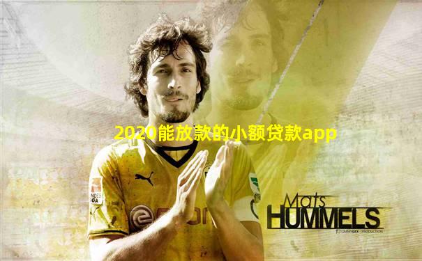 2020能放款的小额贷款app