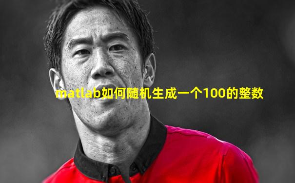 matlab如何随机生成一个100的整数