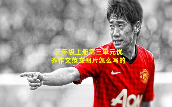 三年级上册第三单元优秀作文范文图片怎么写的