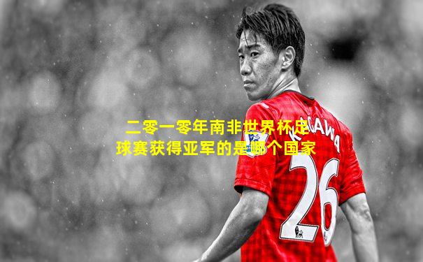 二零一零年南非世界杯足球赛获得亚军的是哪个国家
