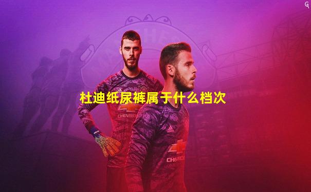 杜迪纸尿裤属于什么档次