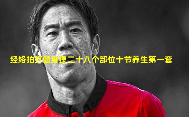 经络拍打健身操二十八个部位十节养生第一套